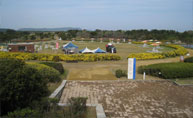 海の中道海浜公園バーベキュー情報