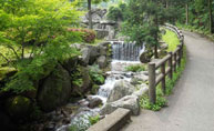一本松公園バーベキュー情報